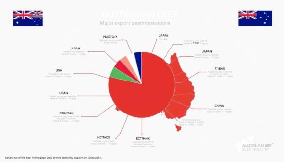 A Comprehensive Guide to Beef Cattle Production in Australia